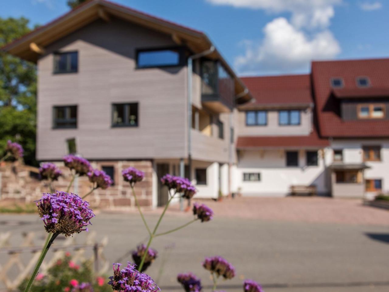 Saunaloft Schwarzwald Gemeinde Gemeinde Aichhalden Exterior foto