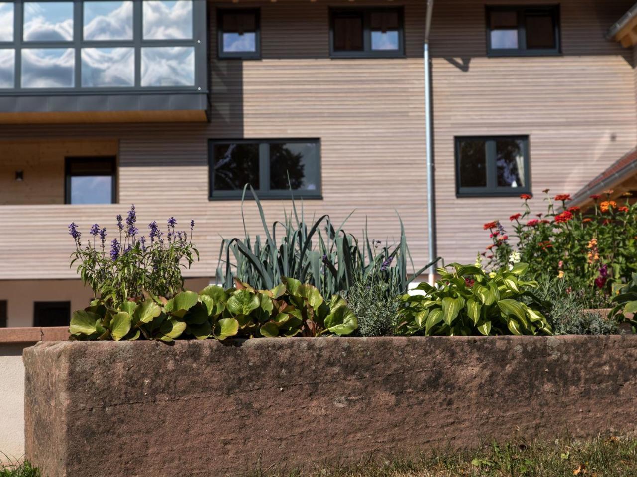 Saunaloft Schwarzwald Gemeinde Gemeinde Aichhalden Exterior foto